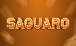 Saguaro – free action browser game